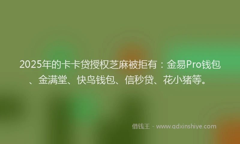 2025年的卡卡贷授权芝麻被拒有：金易Pro钱包、金满堂、快鸟钱包、信秒贷、花小猪等。