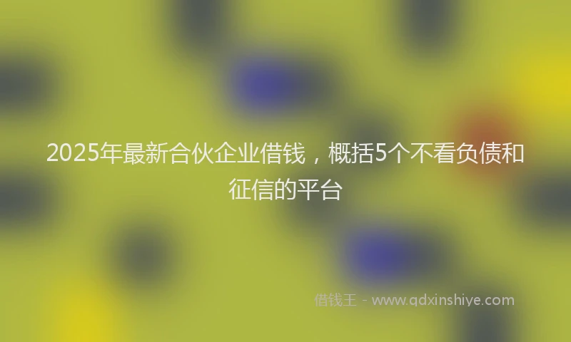 2025年最新合伙企业借钱，概括5个不看负债和征信的平台