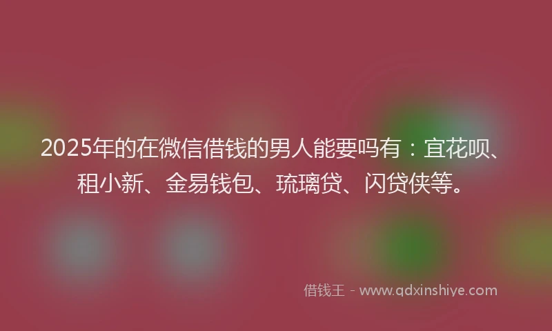 2025年的在微信借钱的男人能要吗有：宜花呗、租小新、金易钱包、琉璃贷、闪贷侠等。