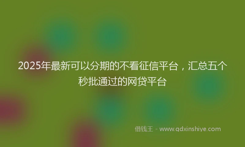 2025年最新可以分期的不看征信平台，汇总五个秒批通过的网贷平台