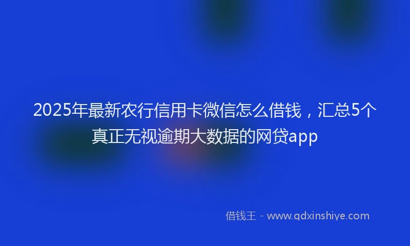 2025年最新农行信用卡微信怎么借钱，汇总5个真正无视逾期大数据的网贷app