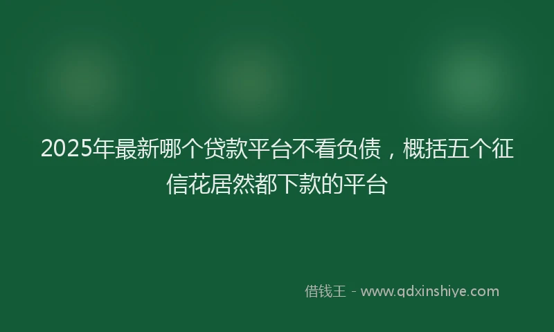 2025年最新哪个贷款平台不看负债，概括五个征信花居然都下款的平台