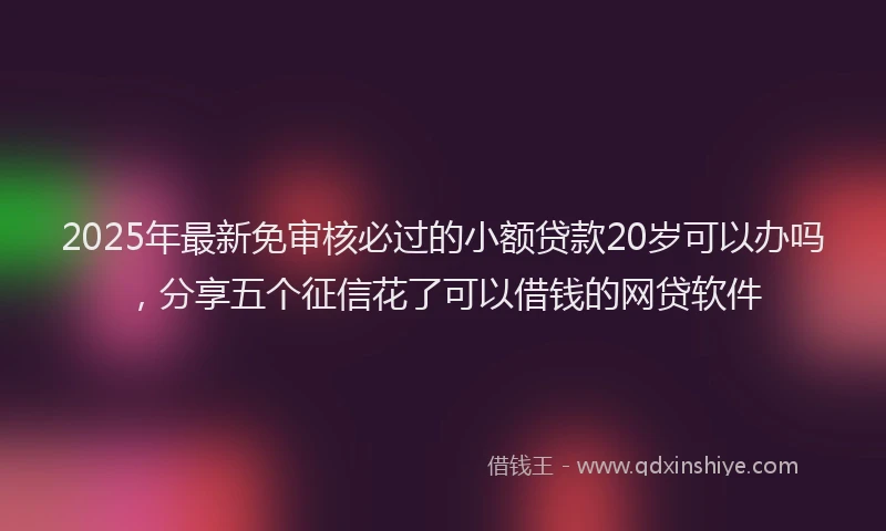 2025年最新免审核必过的小额贷款20岁可以办吗，分享五个征信花了可以借钱的网贷软件