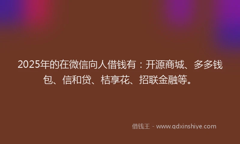2025年的在微信向人借钱有：开源商城、多多钱包、信和贷、桔享花、招联金融等。
