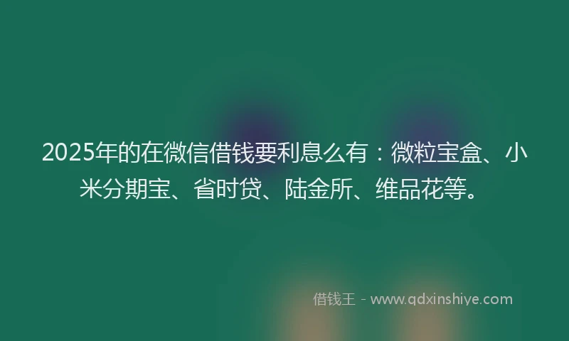 2025年的在微信借钱要利息么有：微粒宝盒、小米分期宝、省时贷、陆金所、维品花等。