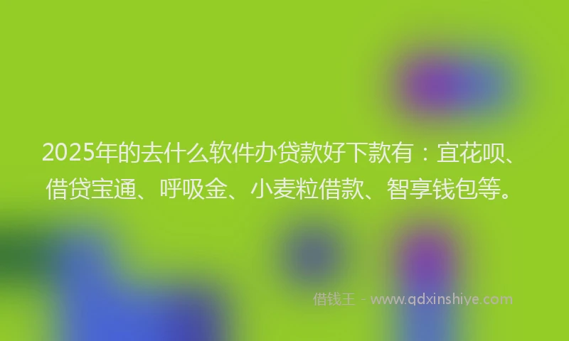 2025年的去什么软件办贷款好下款有：宜花呗、借贷宝通、呼吸金、小麦粒借款、智享钱包等。