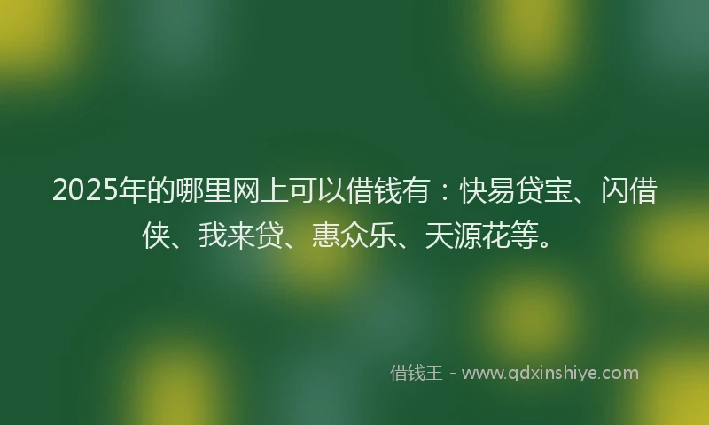 2025年的哪里网上可以借钱有：快易贷宝、闪借侠、我来贷、惠众乐、天源花等。