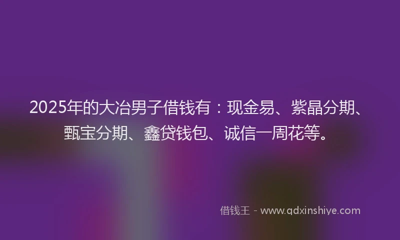 2025年的大冶男子借钱有：现金易、紫晶分期、甄宝分期、鑫贷钱包、诚信一周花等。
