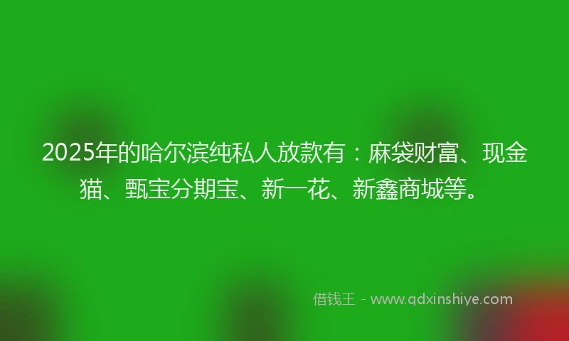 2025年的哈尔滨纯私人放款有：麻袋财富、现金猫、甄宝分期宝、新一花、新鑫商城等。