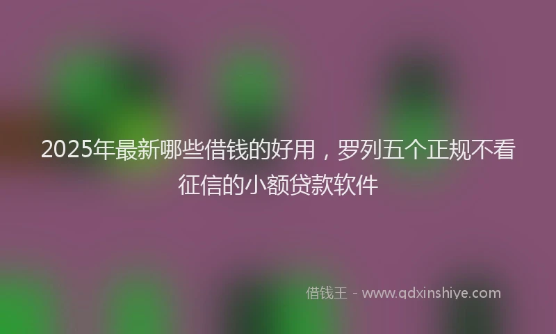 2025年最新哪些借钱的好用，罗列五个正规不看征信的小额贷款软件