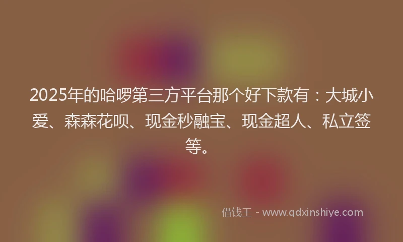 2025年的哈啰第三方平台那个好下款有：大城小爱、森森花呗、现金秒融宝、现金超人、私立签等。