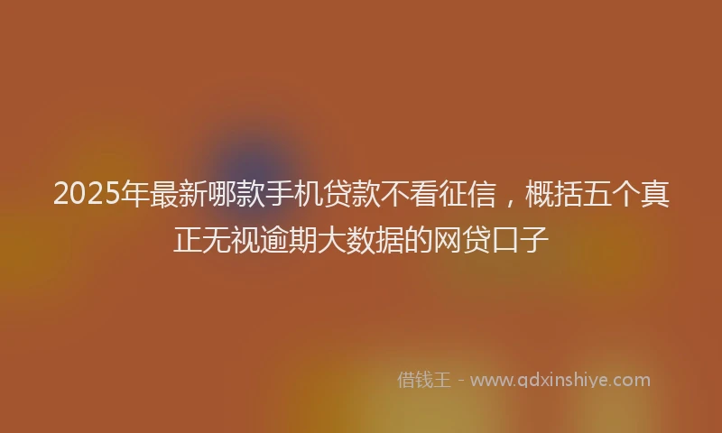 2025年最新哪款手机贷款不看征信，概括五个真正无视逾期大数据的网贷口子