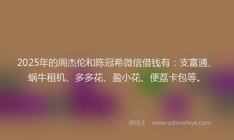 2025年的周杰伦和陈冠希微信借钱有：支富通、蜗牛租机、多多花、盈小花、便荔卡包等。
