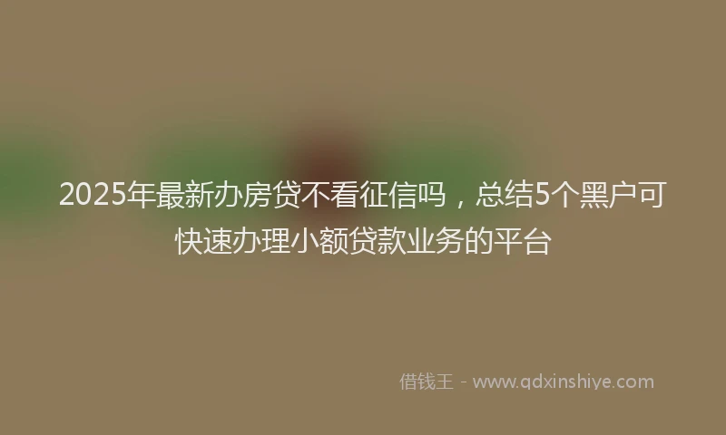 2025年最新办房贷不看征信吗，总结5个黑户可快速办理小额贷款业务的平台
