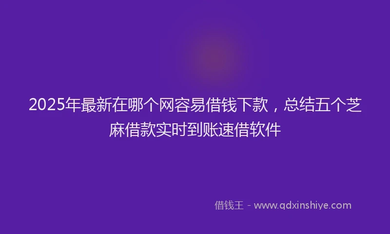 2025年最新在哪个网容易借钱下款，总结五个芝麻借款实时到账速借软件