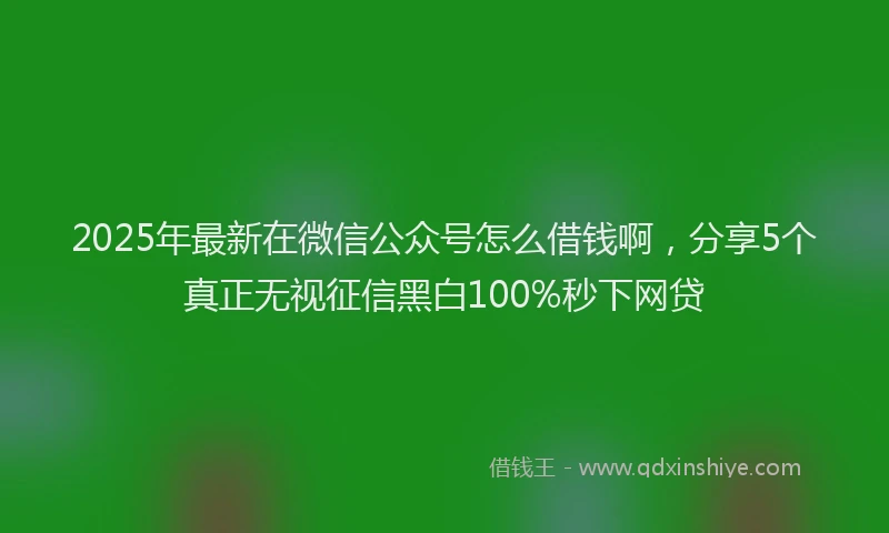 2025年最新在微信公众号怎么借钱啊，分享5个真正无视征信黑白100%秒下网贷