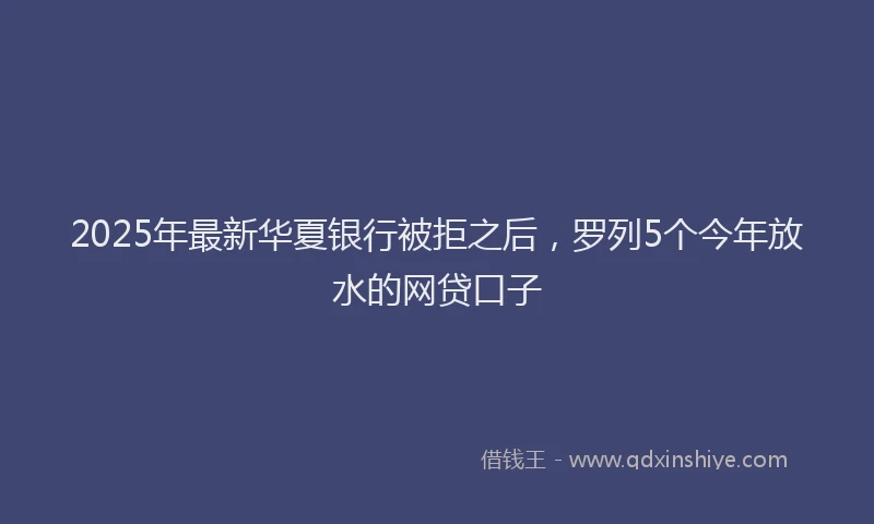 2025年最新华夏银行被拒之后，罗列5个今年放水的网贷口子