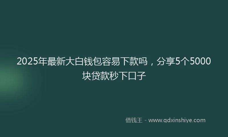 2025年最新大白钱包容易下款吗，分享5个5000块贷款秒下口子