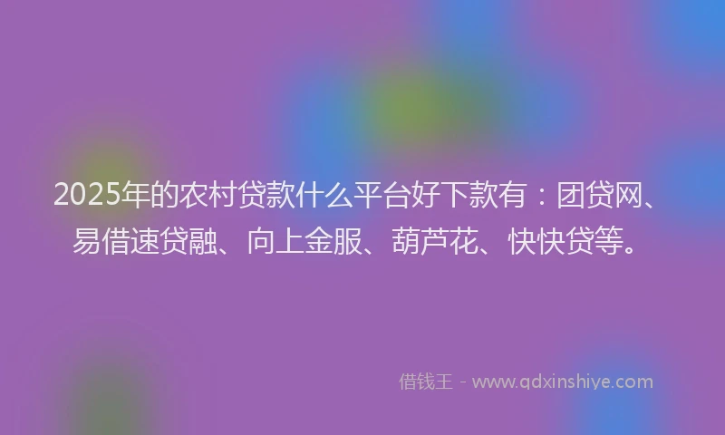 2025年的农村贷款什么平台好下款有：团贷网、易借速贷融、向上金服、葫芦花、快快贷等。