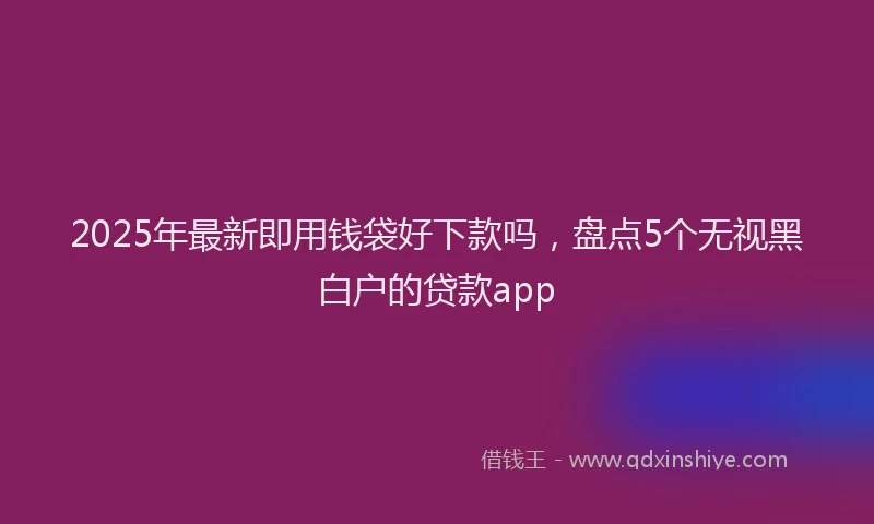 2025年最新即用钱袋好下款吗，盘点5个无视黑白户的贷款app