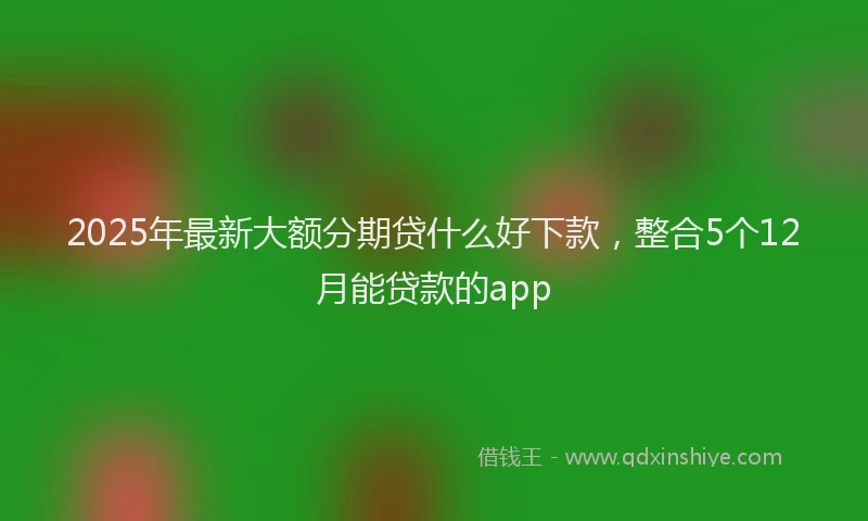 2025年最新大额分期贷什么好下款，整合5个12月能贷款的app