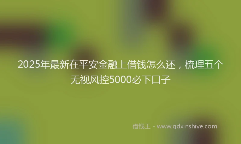 2025年最新在平安金融上借钱怎么还，梳理五个无视风控5000必下口子