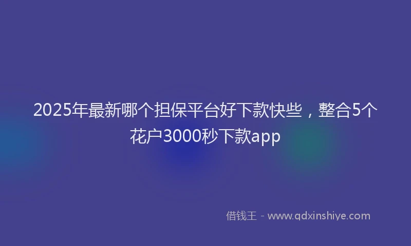 2025年最新哪个担保平台好下款快些，整合5个花户3000秒下款app