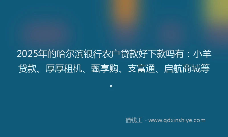 2025年的哈尔滨银行农户贷款好下款吗有：小羊贷款、厚厚租机、甄享购、支富通、启航商城等。