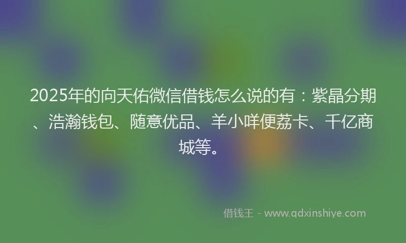 2025年的向天佑微信借钱怎么说的有：紫晶分期、浩瀚钱包、随意优品、羊小咩便荔卡、千亿商城等。