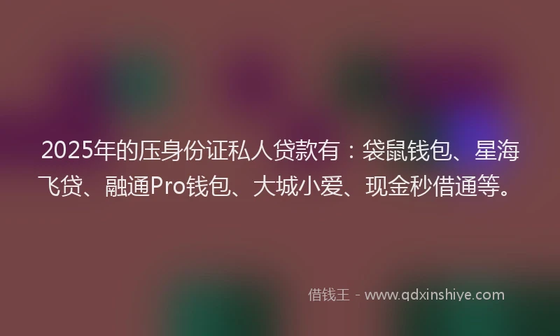 2025年的压身份证私人贷款有：袋鼠钱包、星海飞贷、融通Pro钱包、大城小爱、现金秒借通等。