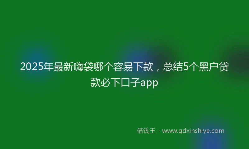 2025年最新嗨袋哪个容易下款，总结5个黑户贷款必下口子app