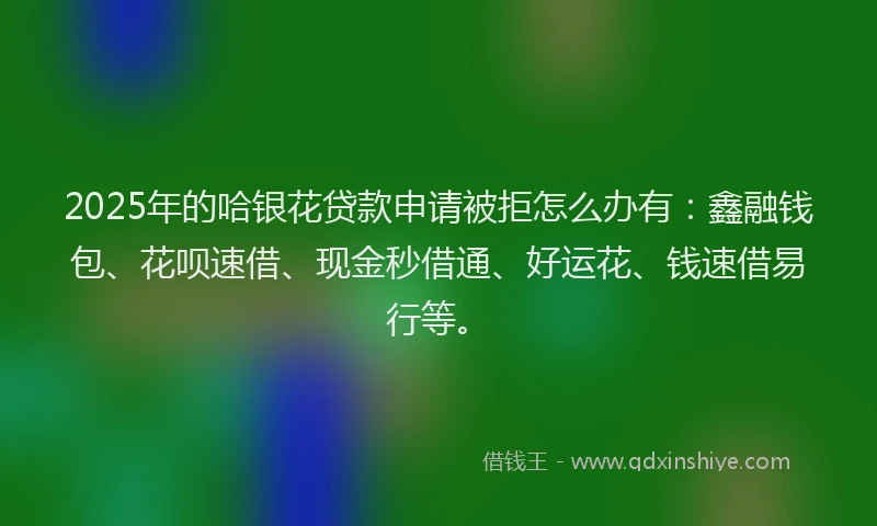2025年的哈银花贷款申请被拒怎么办有：鑫融钱包、花呗速借、现金秒借通、好运花、钱速借易行等。