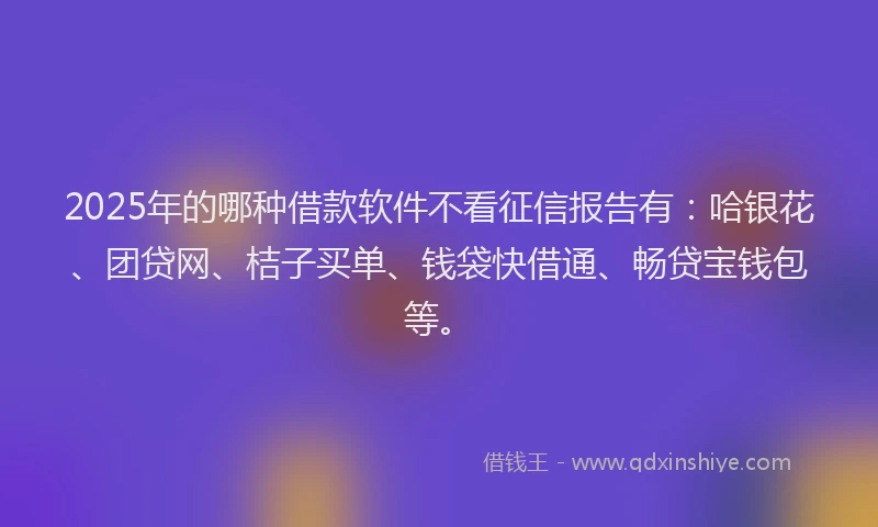 2025年的哪种借款软件不看征信报告有：哈银花、团贷网、桔子买单、钱袋快借通、畅贷宝钱包等。