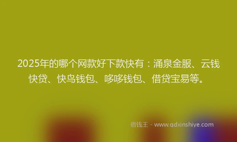 2025年的哪个网款好下款快有：涌泉金服、云钱快贷、快鸟钱包、哆哆钱包、借贷宝易等。