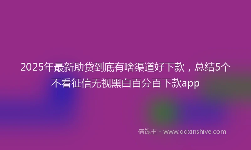 2025年最新助贷到底有啥渠道好下款，总结5个不看征信无视黑白百分百下款app