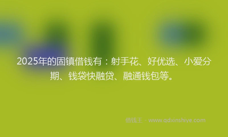 2025年的固镇借钱有：射手花、好优选、小爱分期、钱袋快融贷、融通钱包等。