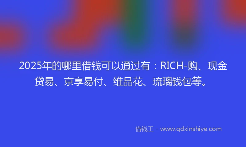 2025年的哪里借钱可以通过有：RICH-购、现金贷易、京享易付、维品花、琉璃钱包等。