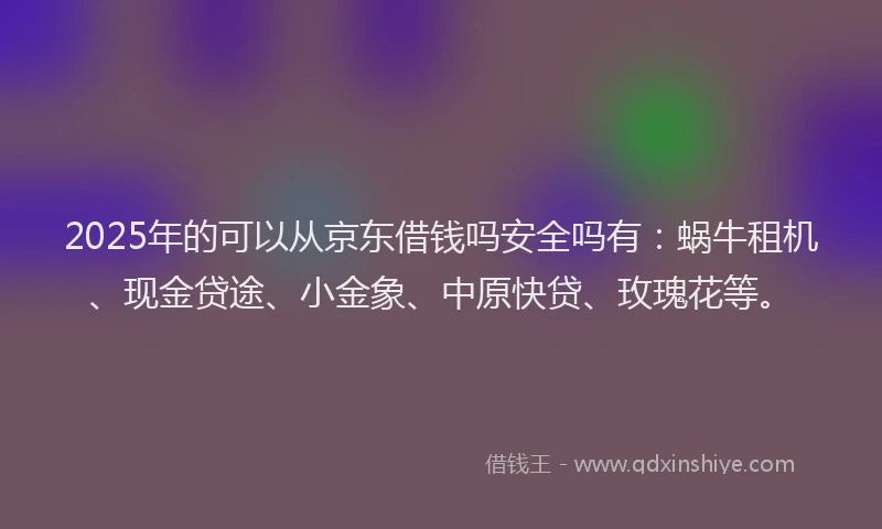2025年的可以从京东借钱吗安全吗有：蜗牛租机、现金贷途、小金象、中原快贷、玫瑰花等。