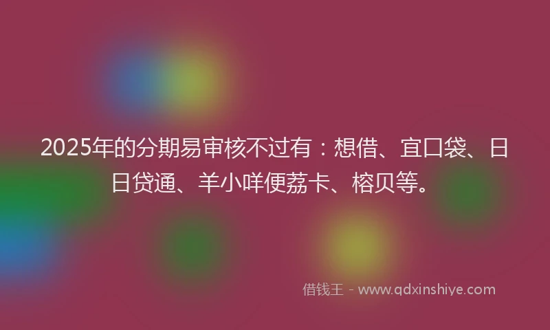 2025年的分期易审核不过有：想借、宜口袋、日日贷通、羊小咩便荔卡、榕贝等。