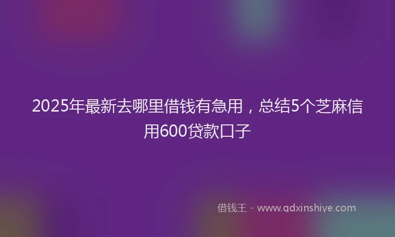 2025年最新去哪里借钱有急用，总结5个芝麻信用600贷款口子