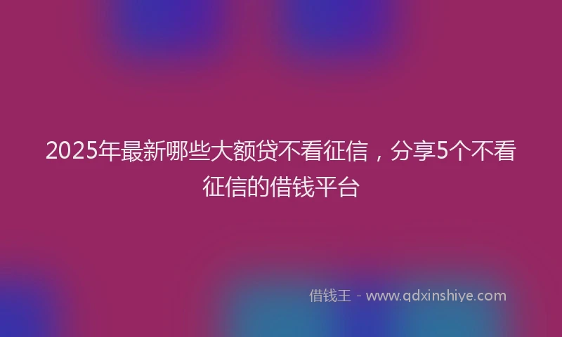 2025年最新哪些大额贷不看征信，分享5个不看征信的借钱平台
