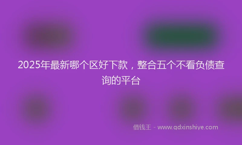 2025年最新哪个区好下款，整合五个不看负债查询的平台