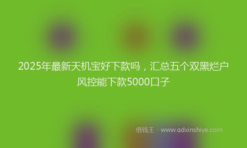 2025年最新天机宝好下款吗，汇总五个双黑烂户风控能下款5000口子