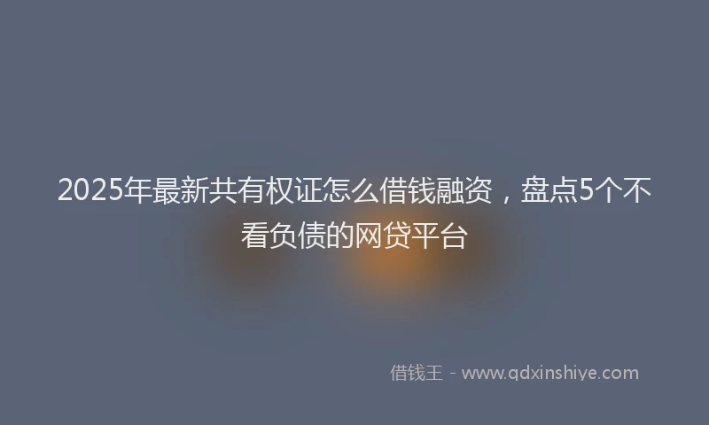 2025年最新共有权证怎么借钱融资，盘点5个不看负债的网贷平台