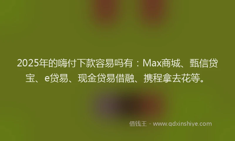2025年的嗨付下款容易吗有：Max商城、甄信贷宝、e贷易、现金贷易借融、携程拿去花等。