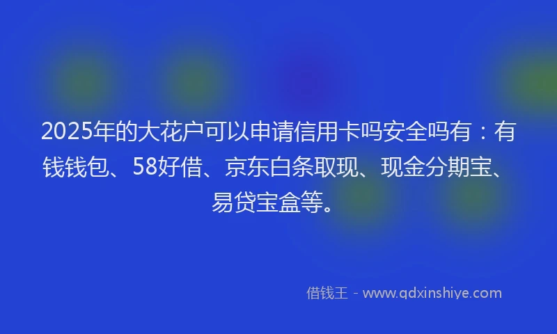 2025年的大花户可以申请信用卡吗安全吗有：有钱钱包、58好借、京东白条取现、现金分期宝、易贷宝盒等。