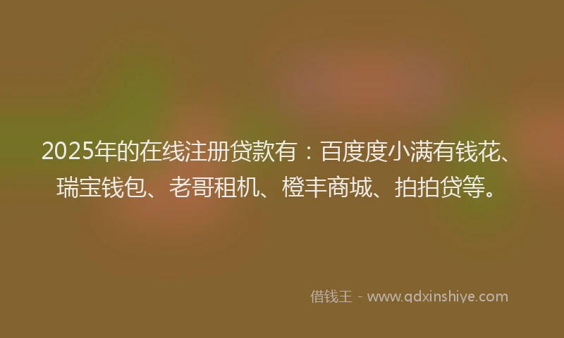 2025年的在线注册贷款有：百度度小满有钱花、瑞宝钱包、老哥租机、橙丰商城、拍拍贷等。