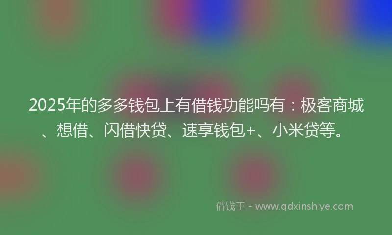 2025年的多多钱包上有借钱功能吗有：极客商城、想借、闪借快贷、速享钱包+、小米贷等。