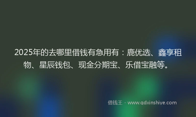 2025年的去哪里借钱有急用有：鹿优选、鑫享租物、星辰钱包、现金分期宝、乐借宝融等。