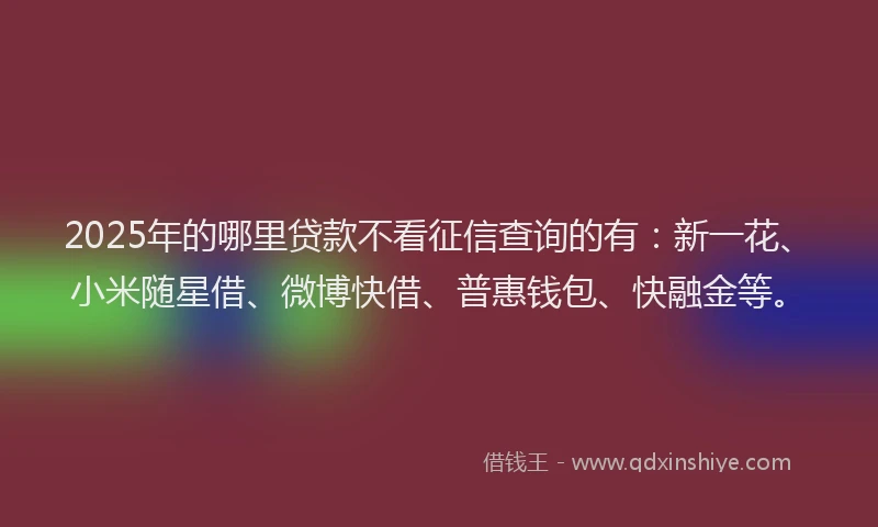 2025年的哪里贷款不看征信查询的有：新一花、小米随星借、微博快借、普惠钱包、快融金等。
